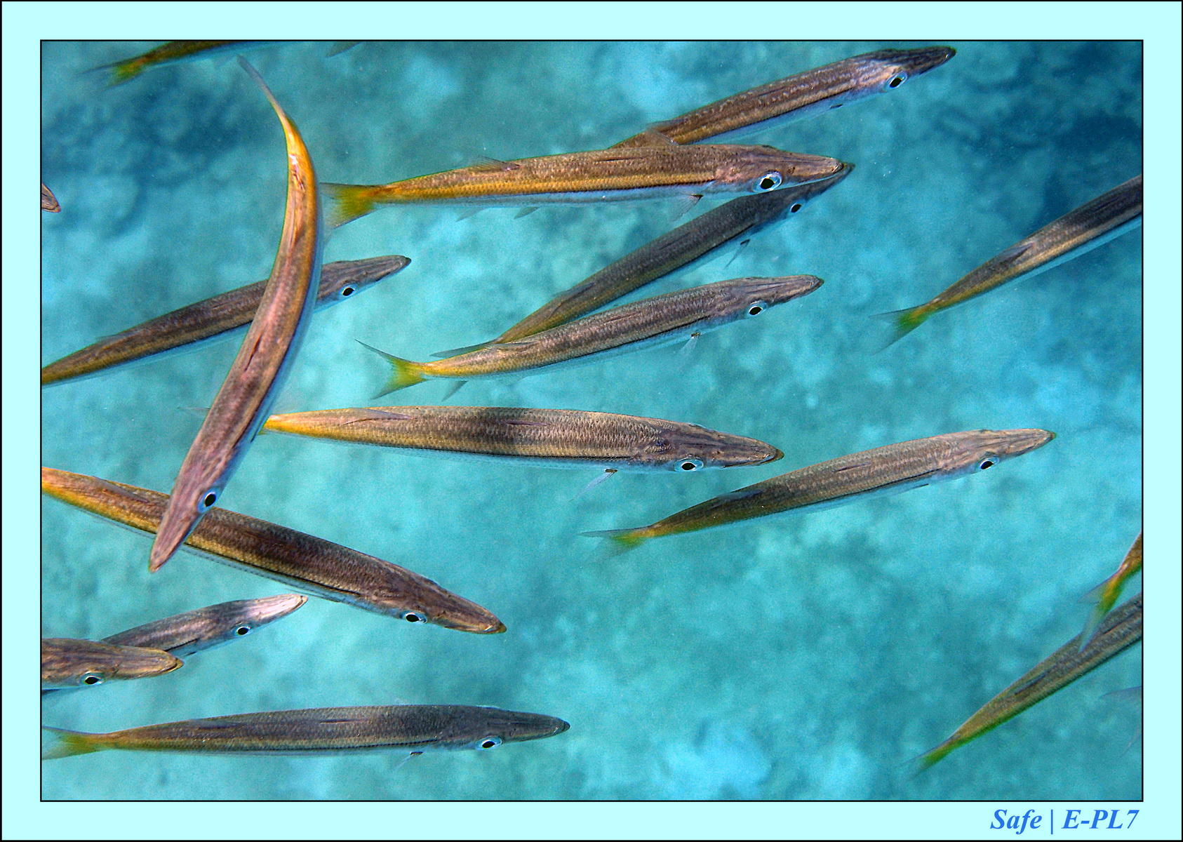 2015   07   Peranthian Islands 14